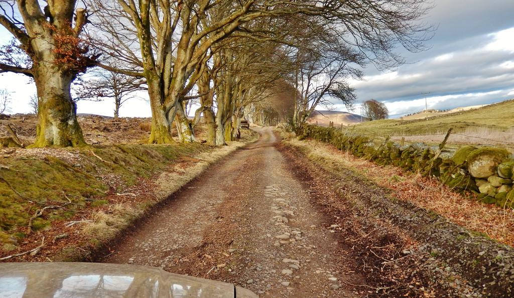 Scotland Paradise Relax Accommodation By Shooting Club Kirriemuir Balintore  Εξωτερικό φωτογραφία