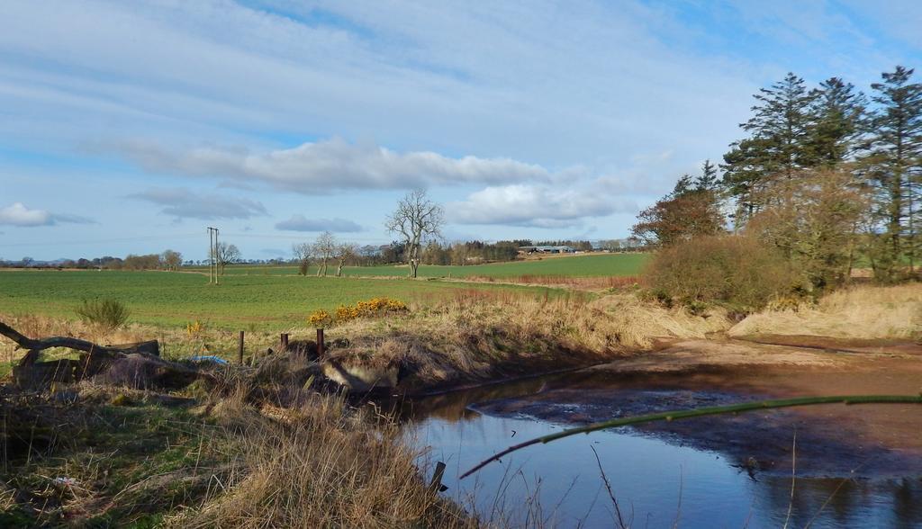 Scotland Paradise Relax Accommodation By Shooting Club Kirriemuir Balintore  Εξωτερικό φωτογραφία